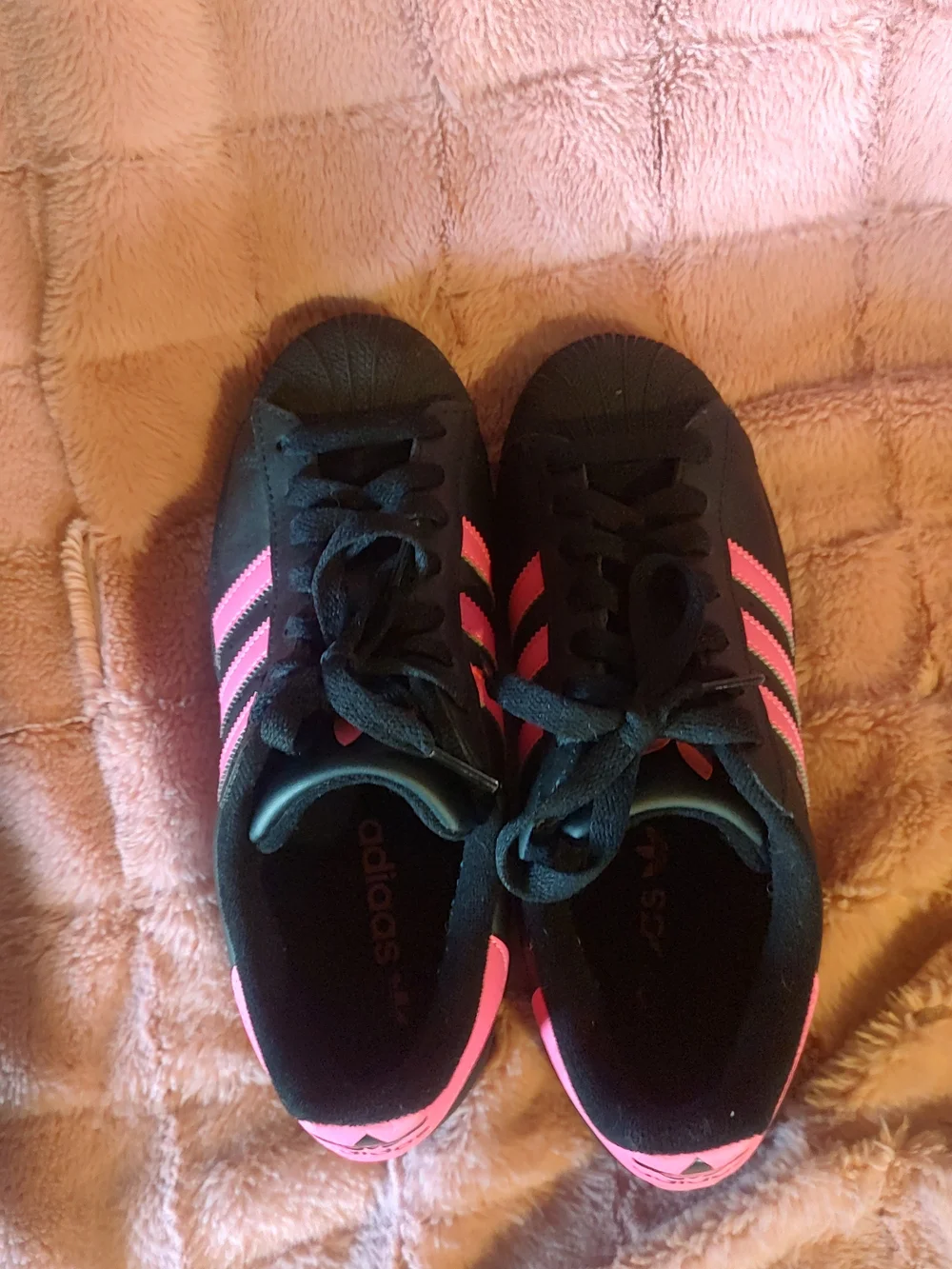 adidas bold superstar